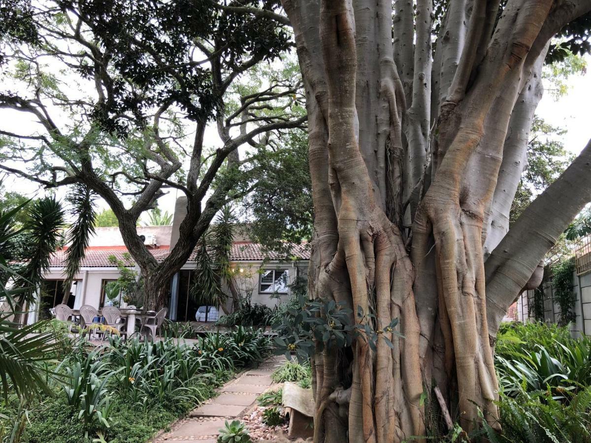 Hotel The Wild Fig Durbanville Exterior foto